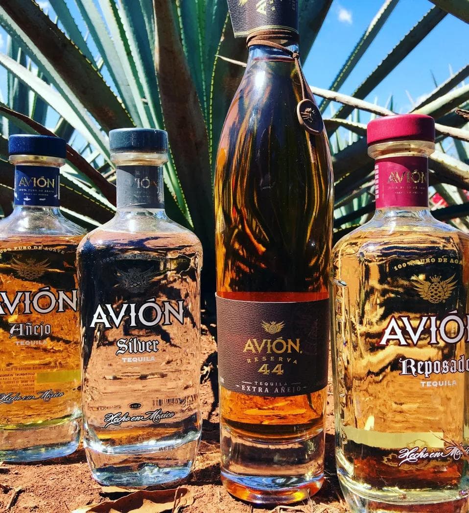 Avion gallery 2